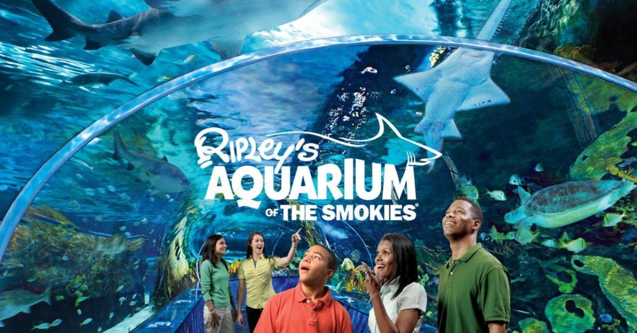 Smoky Mountain Views Βίλα Gatlinburg Εξωτερικό φωτογραφία